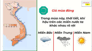 Khí hậu nhiệt đới ẩm gió mùa có những đặc trưng gì nổi bật?